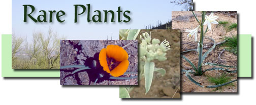 Rare Plants