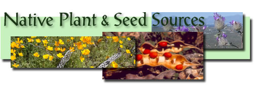 native plant and seed sources